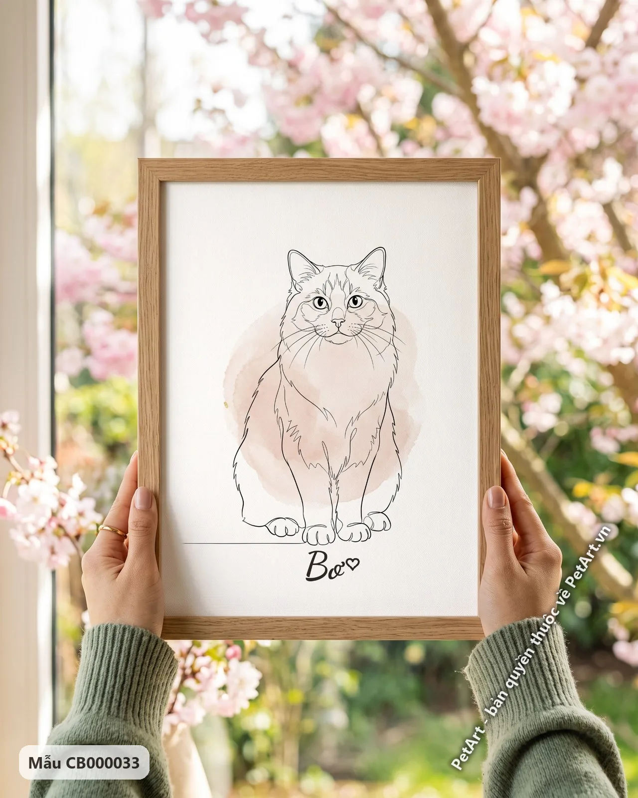 Ảnh thực tế: Một chú mèo Ragdoll ngồi được phác họa bằng nét vẽ tối giản, với một vệt màu hồng nhạt như màu nước phía sau.