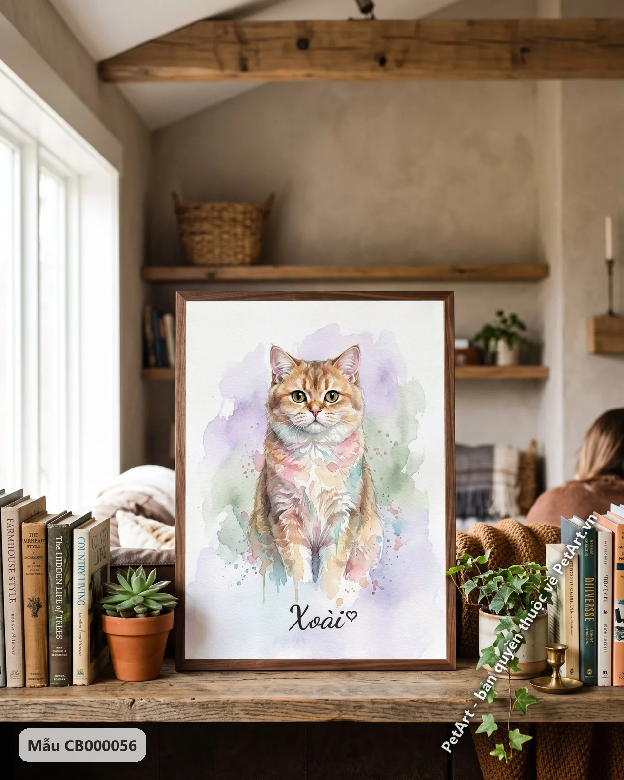 Ảnh thực tế: Mèo Anh lông dài màu cam ngồi thẳng, bộ lông mềm mại, nền màu nước tím xanh nhẹ nhàng.