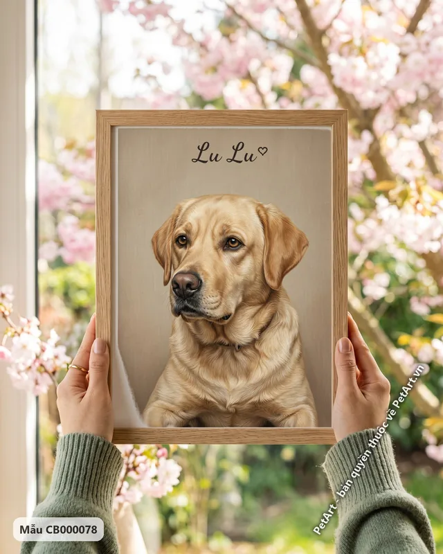 Chó Labrador chân dung chân thực nhìn nghiêng · góc khác