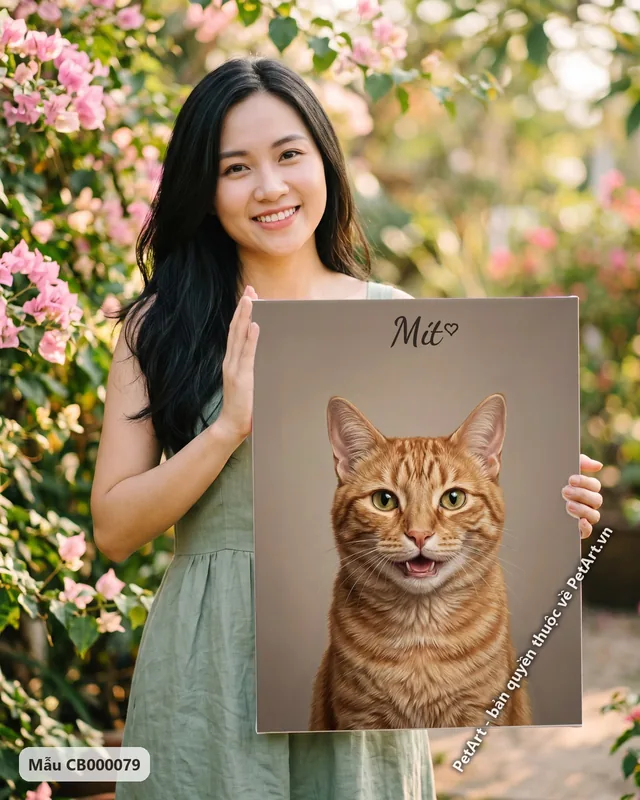 Mèo mướp cam chân dung chân thực cười · ảnh thực tế