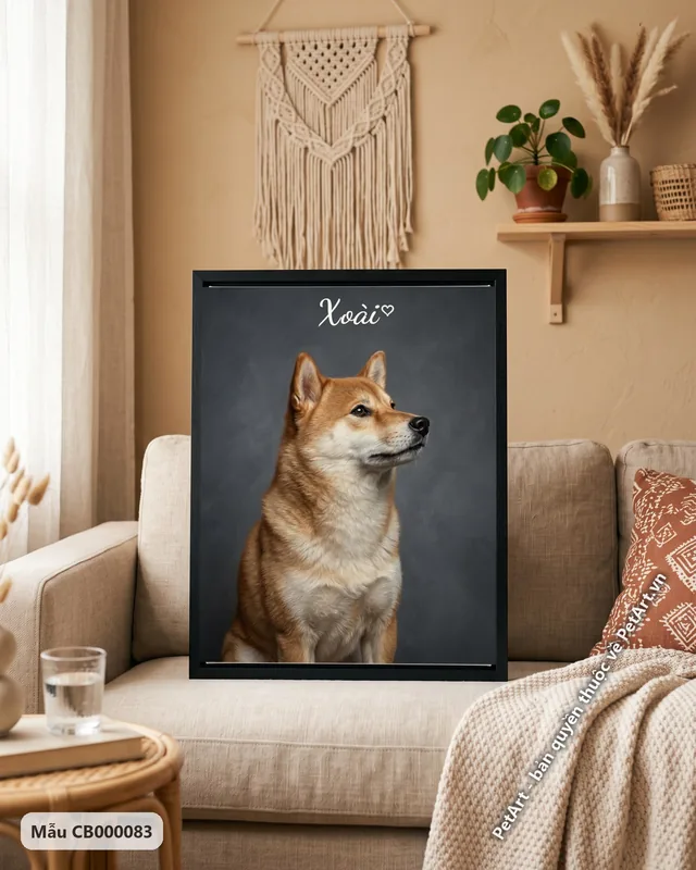 Chó Shiba chân dung chân thực nền xám · góc khác
