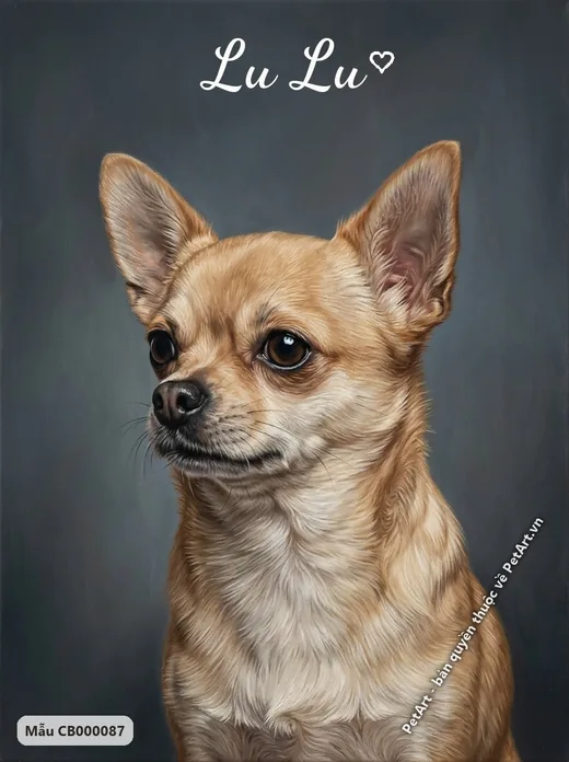 Chó Chihuahua chân dung chân thực nền xám · ảnh tranh