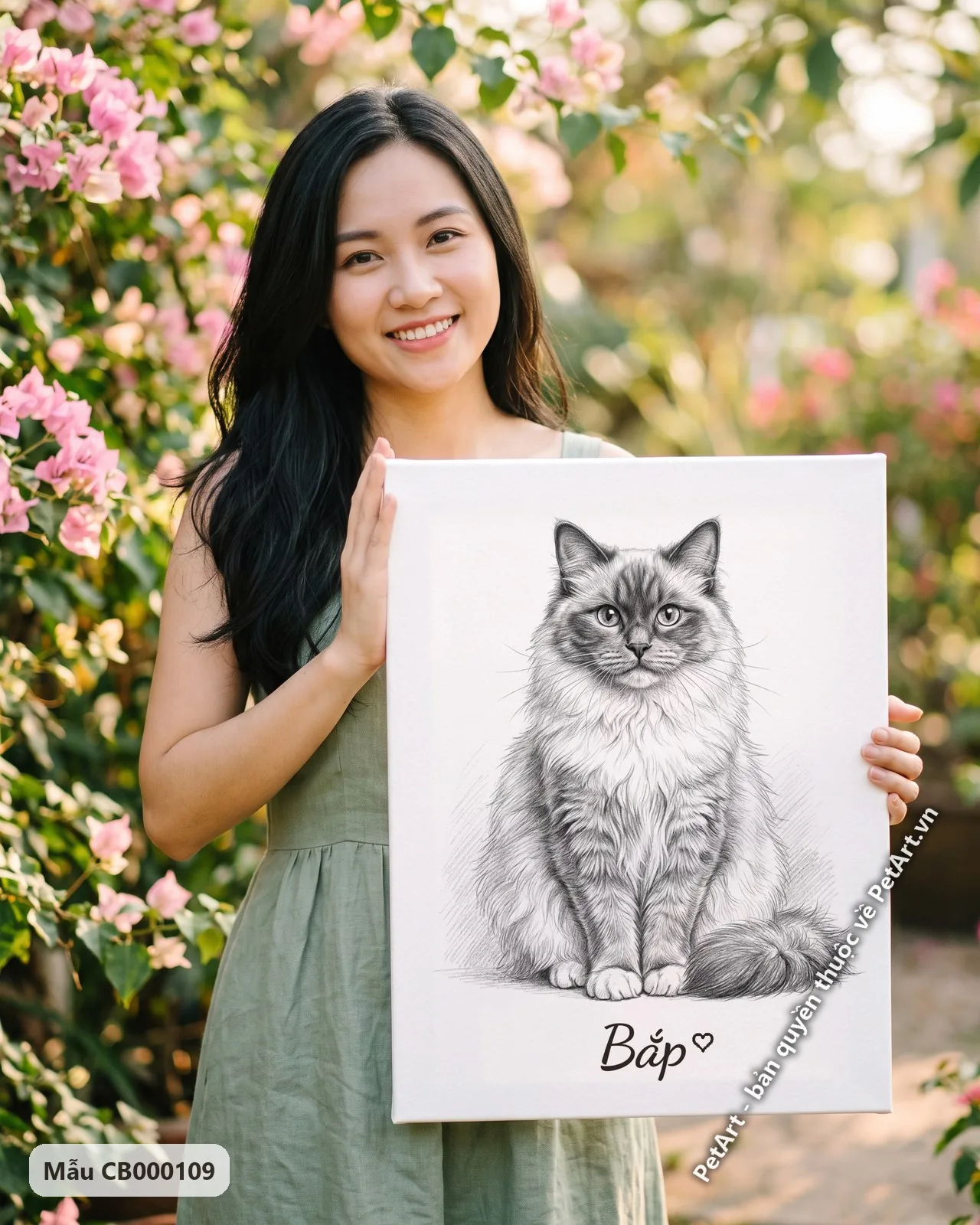 Ảnh thực tế: Chú mèo Ragdoll lông dài ngồi thẳng, nhìn trực diện, được phác họa bằng chì đen trắng tinh tế.