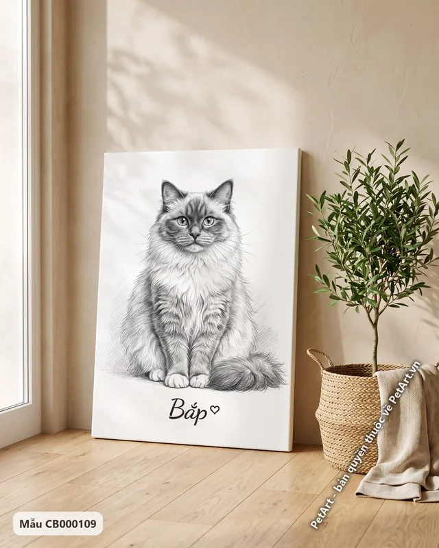 Mèo Ragdoll ngồi thẳng, tranh chì đen trắng · góc khác