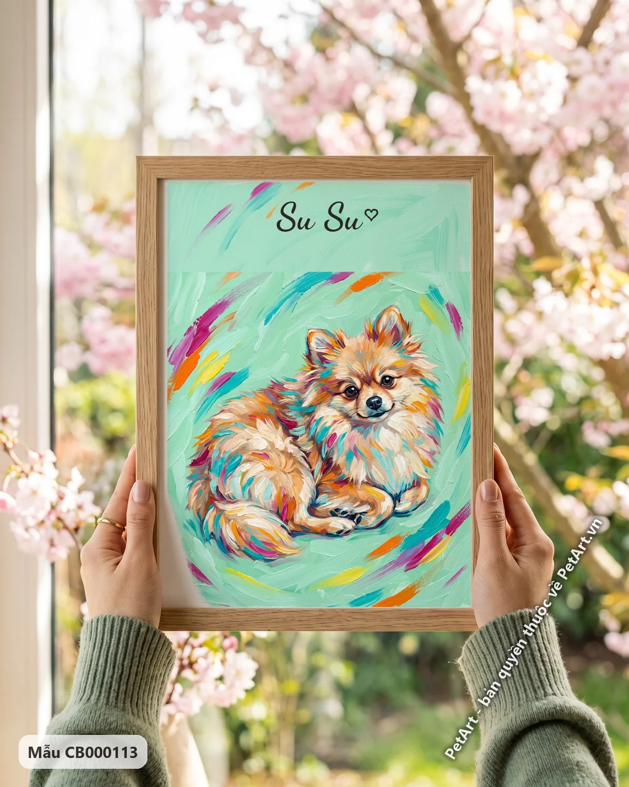 Ảnh thực tế: Chú chó Phốc sóc đáng yêu nằm thư giãn, bộ lông nhiều màu sắc nổi bật trên nền xanh lá cây tươi sáng.