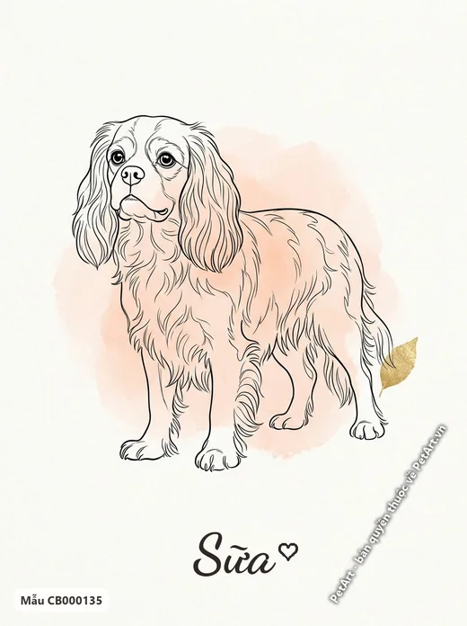 Chó Cavalier phác họa nét · ảnh tranh