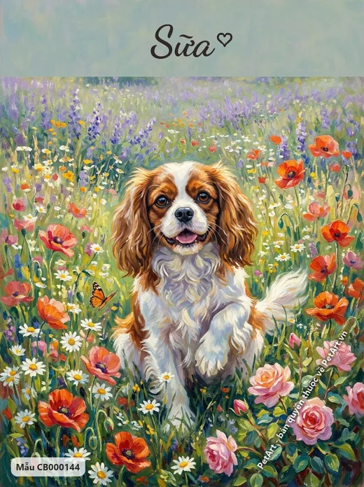 Chó Cavalier giữa vườn hoa oải hương · ảnh tranh