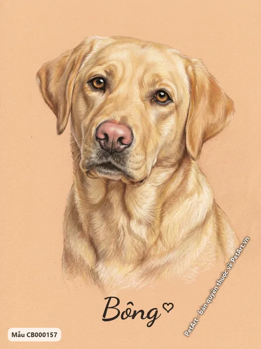 Chó Labrador vàng chân dung pastel mềm mại · ảnh tranh