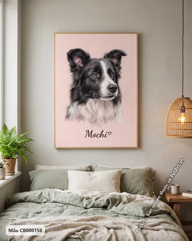 Chó Border Collie đen trắng pastel mềm mại · ảnh thực tế