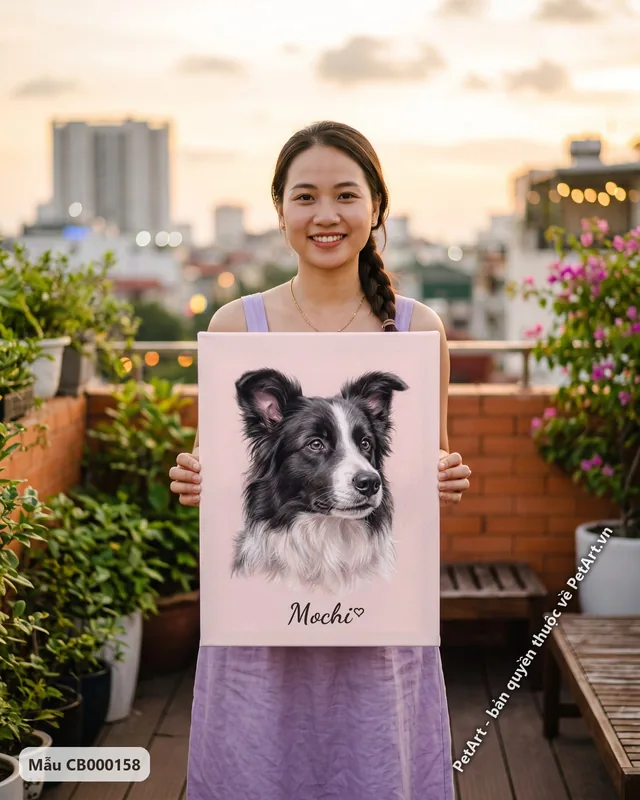 Chó Border Collie đen trắng pastel mềm mại · góc khác