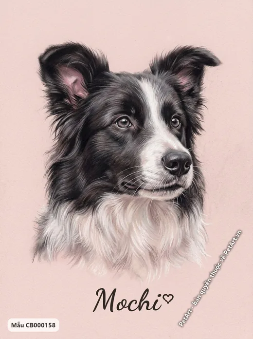 Chó Border Collie đen trắng pastel mềm mại · ảnh tranh