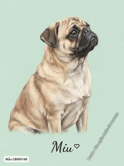 Chó Pug ngồi nhìn lên pastel mềm mại · ảnh tranh