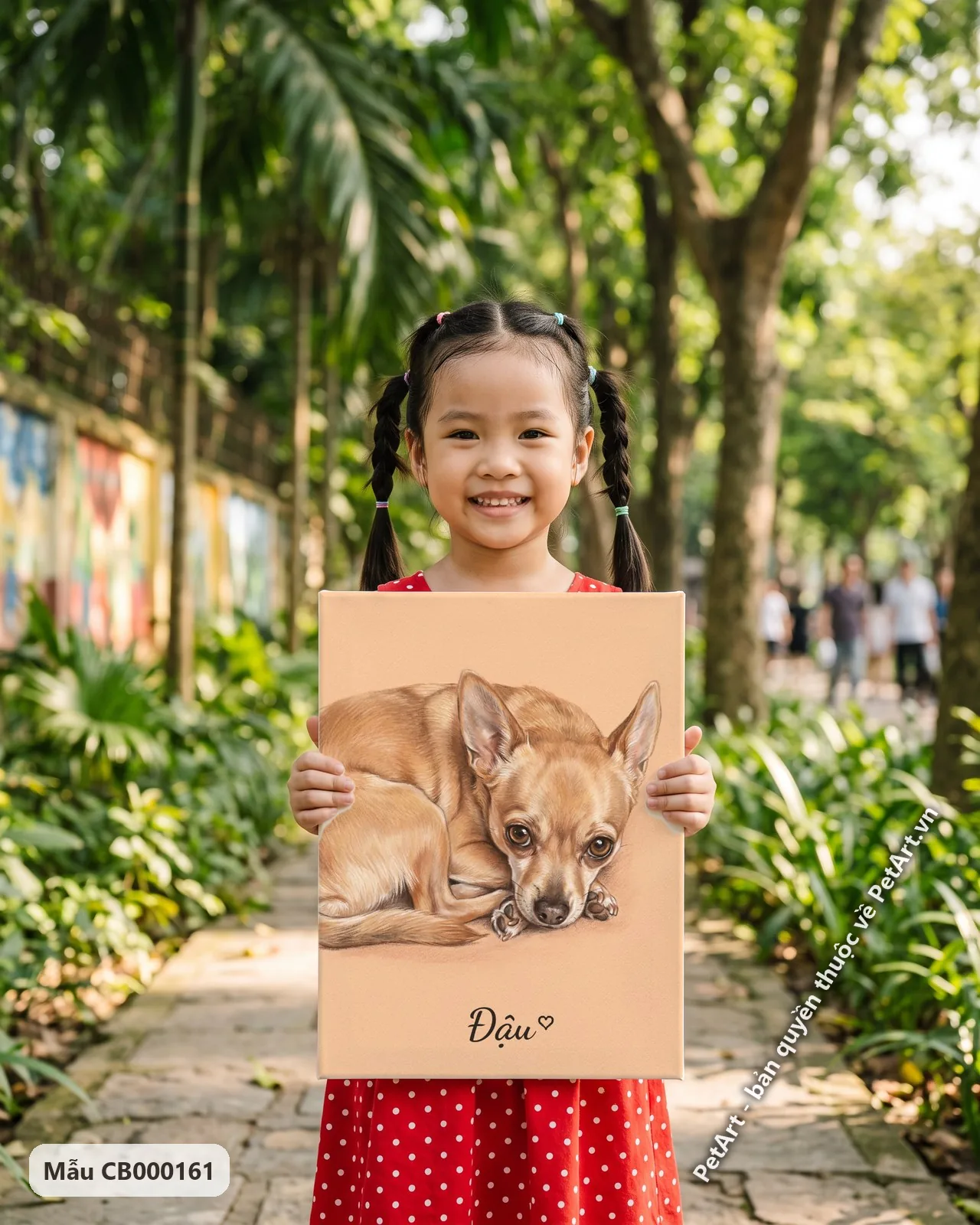 Ảnh thực tế: Chú chó Chihuahua màu nâu vàng cuộn mình nằm nghỉ, đôi mắt to tròn nhìn thẳng trên nền pastel cam nhạt.