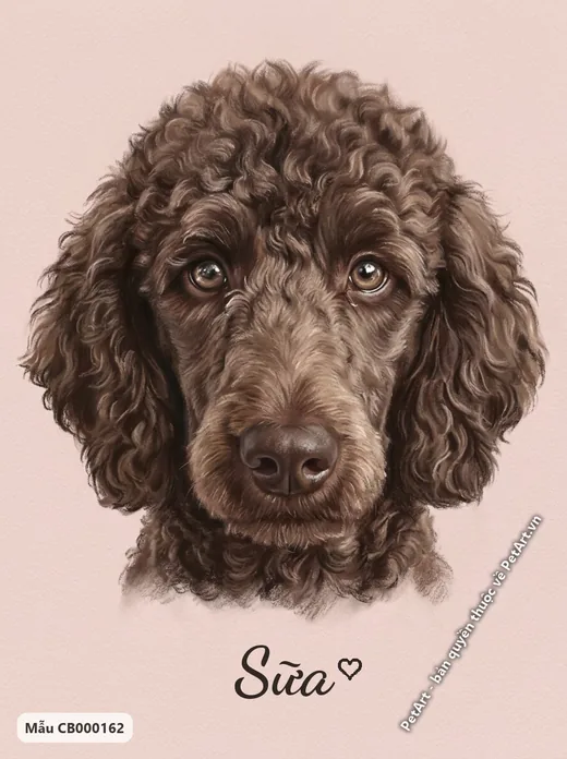 Chó Poodle nâu mặt nhìn thẳng, tranh pastel · ảnh tranh