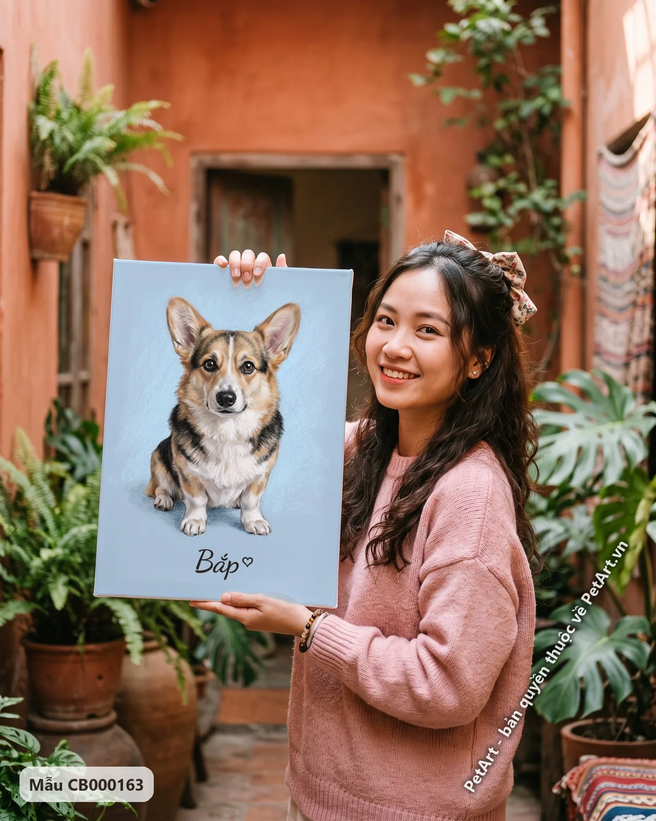 Ảnh thực tế: Chú chó Corgi ba màu ngồi thẳng, tai dựng đứng, ánh mắt thân thiện trên nền xanh dương pastel.