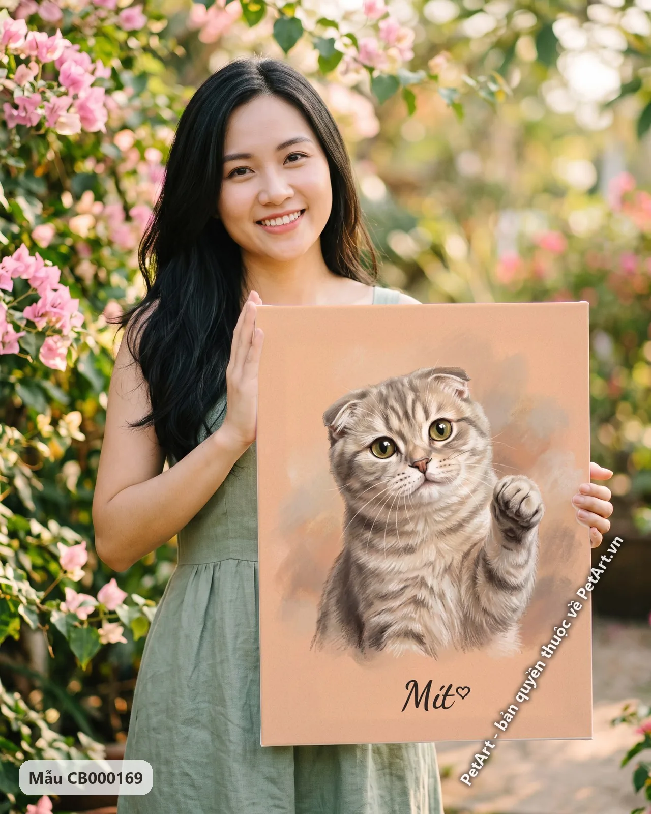 Ảnh thực tế: Chú mèo tai cụp màu vằn nâu xám với đôi mắt xanh lá, đang giơ một chân lên trên nền pastel cam nhạt.