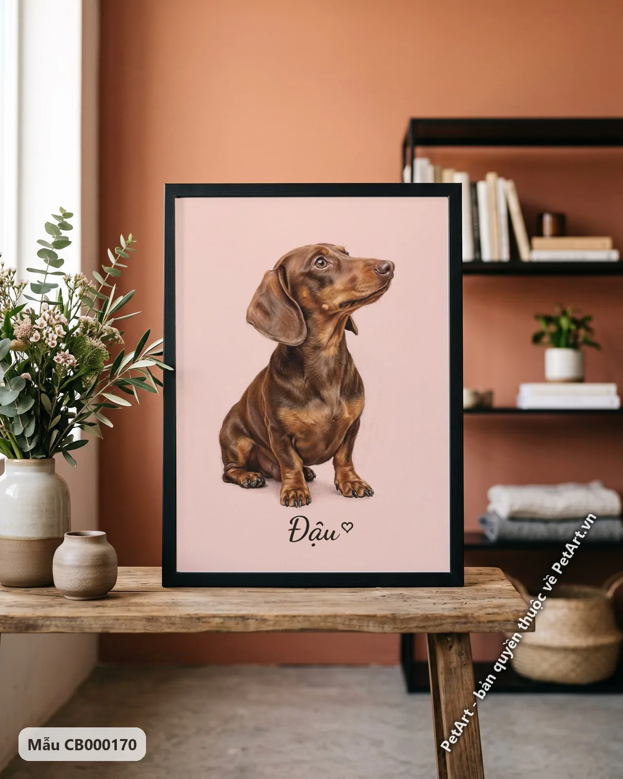 Ảnh thực tế: Chú chó Lạp xưởng màu nâu sẫm đang ngồi, ngẩng đầu nhìn lên trên nền hồng pastel dịu nhẹ.