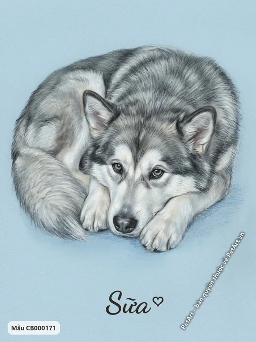 Chó Alaska cuộn tròn, tranh pastel mềm mại · ảnh tranh