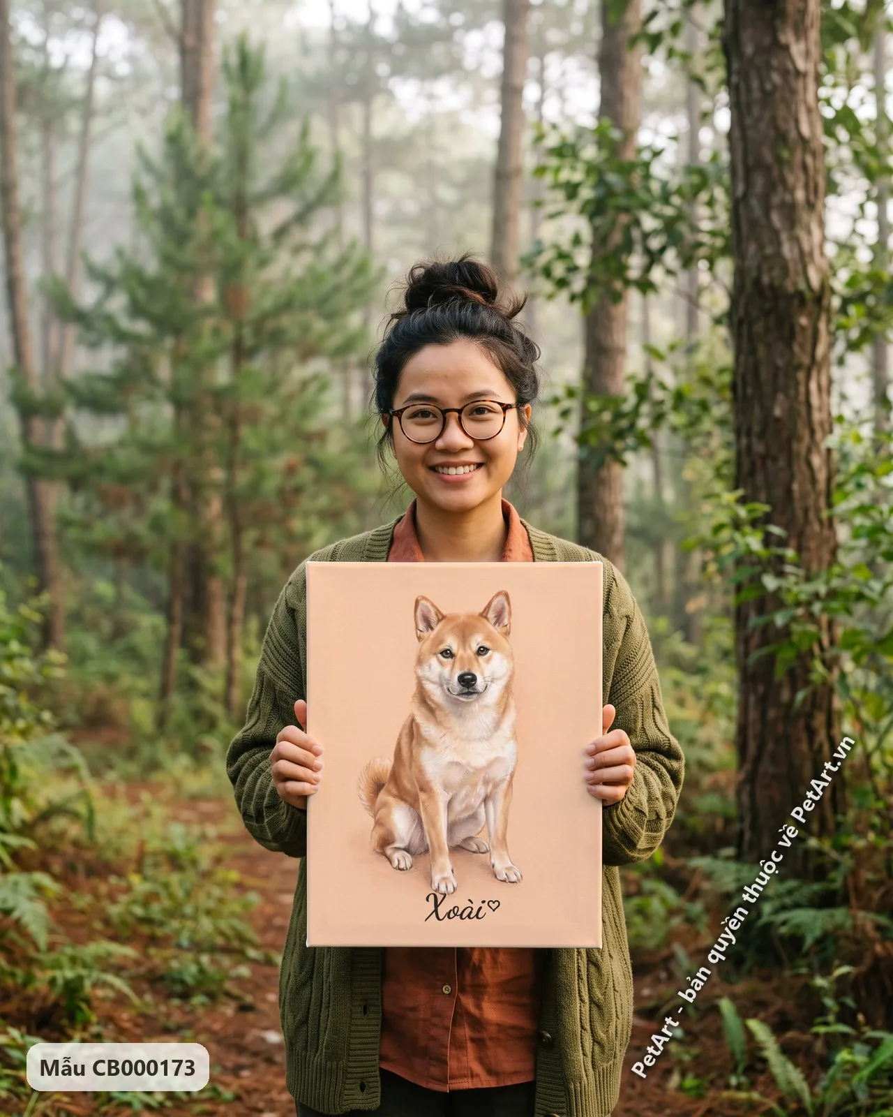 Ảnh thực tế: Chú chó Shiba lông vàng cam trắng đang ngồi thẳng, nhìn trực diện với vẻ mặt tươi tắn, trên nền cam đào pastel.