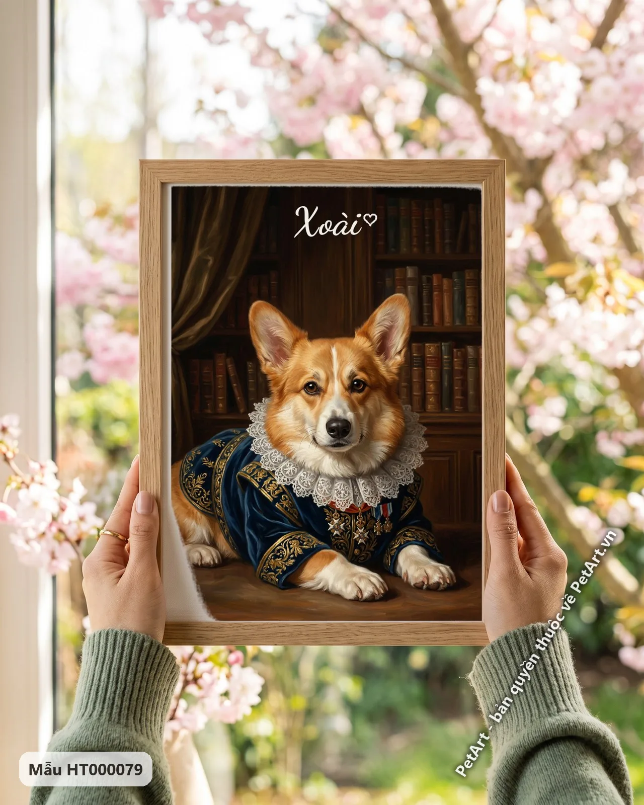 Ảnh thực tế: Chó Corgi vàng trắng đáng yêu, mặc áo choàng quý tộc xanh dương thêu vàng, cổ áo ren trắng, trong thư viện cổ điển.