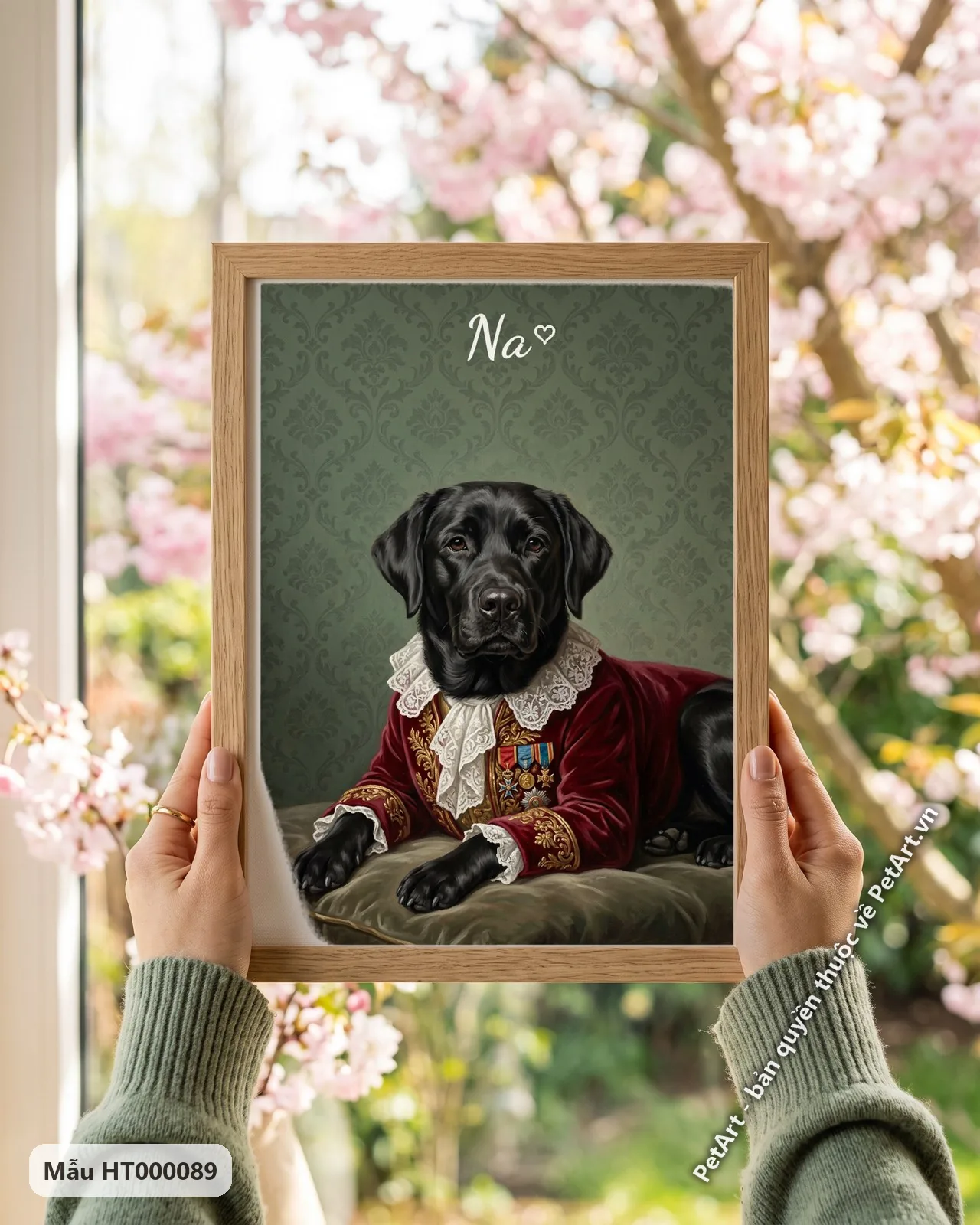 Ảnh thực tế: Chú chó Labrador đen nằm trên đệm xanh, mặc áo nhung đỏ thêu vàng, cổ áo ren trắng, trên nền tường hoa văn xanh.