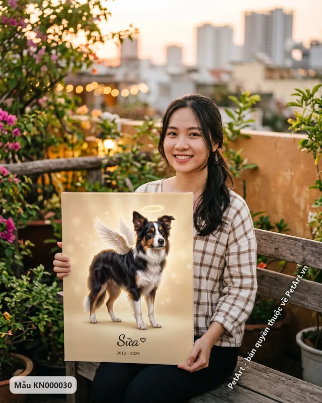 Chó Border Collie thiên thần, có cánh và vầng hào quang · ảnh thực tế