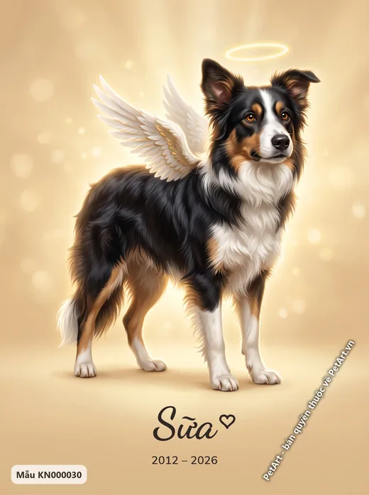 Chó Border Collie thiên thần, có cánh và vầng hào quang · ảnh tranh