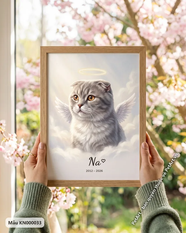 Mèo tai cụp thiên thần trên mây · góc khác