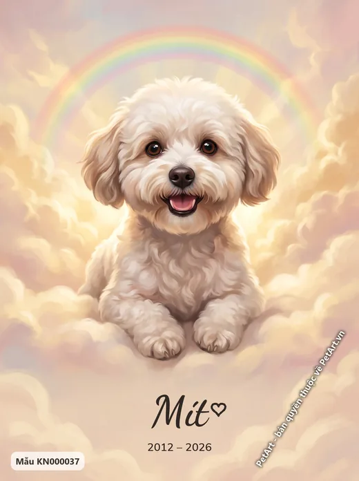 Chó Bichon trên mây cầu vồng · ảnh tranh
