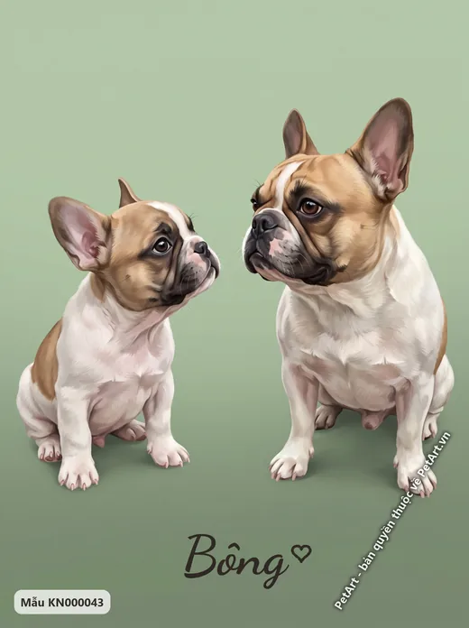 Bull Pháp con và trưởng thành nền xanh · ảnh tranh