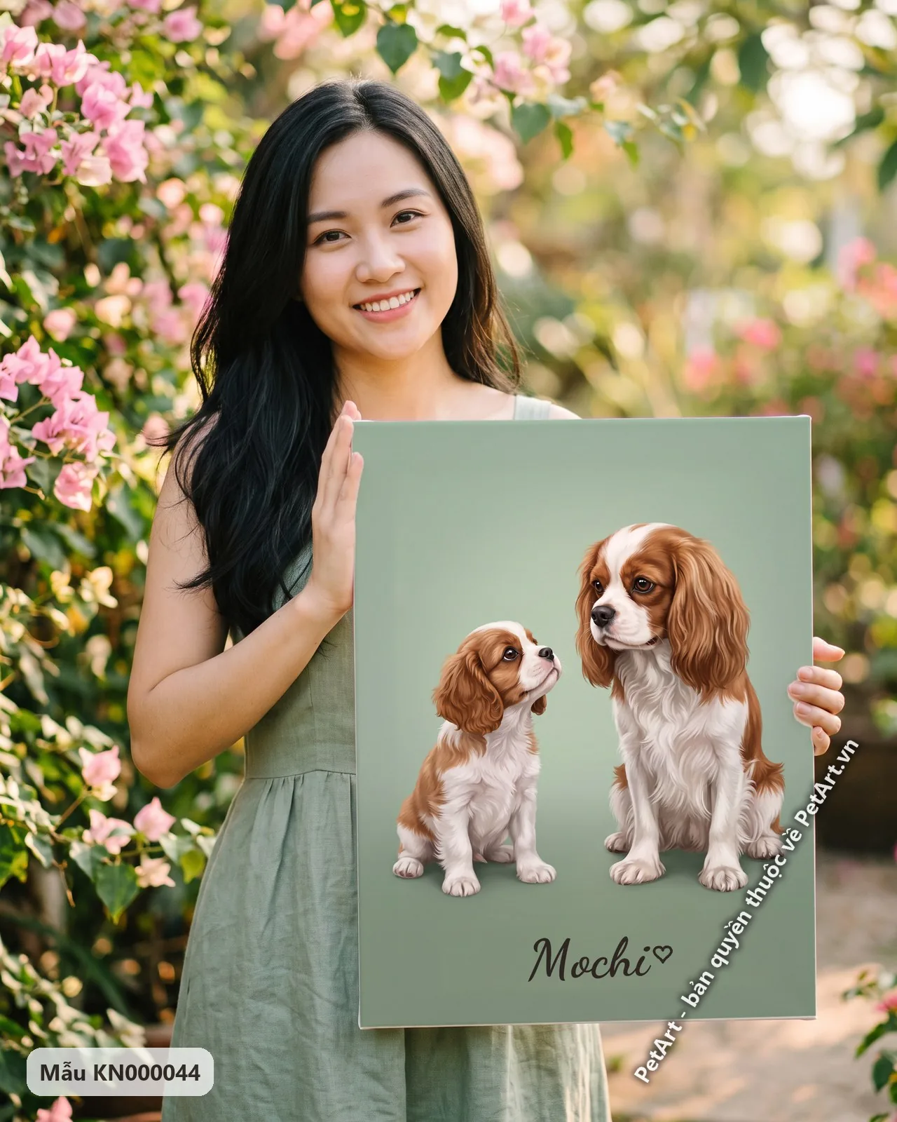 Ảnh thực tế: Hai chú chó Cavalier, một con non và một con trưởng thành, ngồi đối mặt trên nền xanh lá đơn sắc.