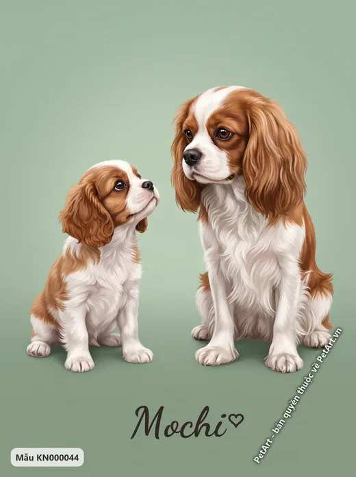 Cavalier con và trưởng thành nền xanh · ảnh tranh