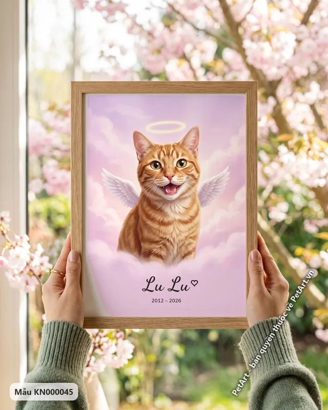 Mèo mướp cam thiên thần trên mây · góc khác