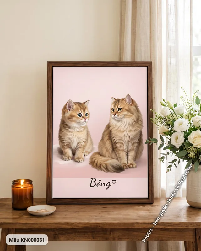 Mèo Anh lông dài con và trưởng thành, phong cách hành trình · ảnh thực tế