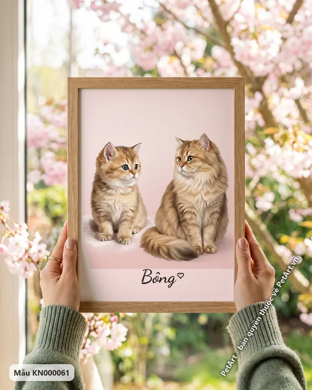 Mèo Anh lông dài con và trưởng thành, phong cách hành trình · góc khác