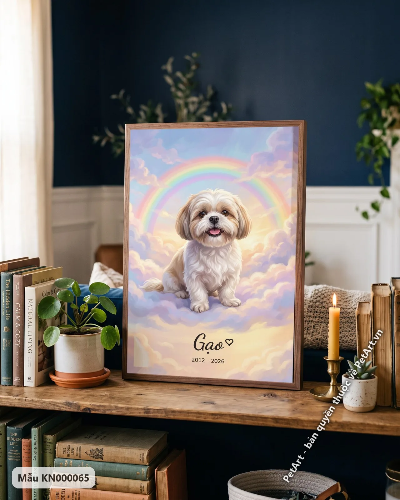 Ảnh thực tế: Chú chó Shih Tzu đáng yêu ngồi trên những đám mây nhiều màu sắc, phía sau là cầu vồng rực rỡ trên bầu trời xanh.