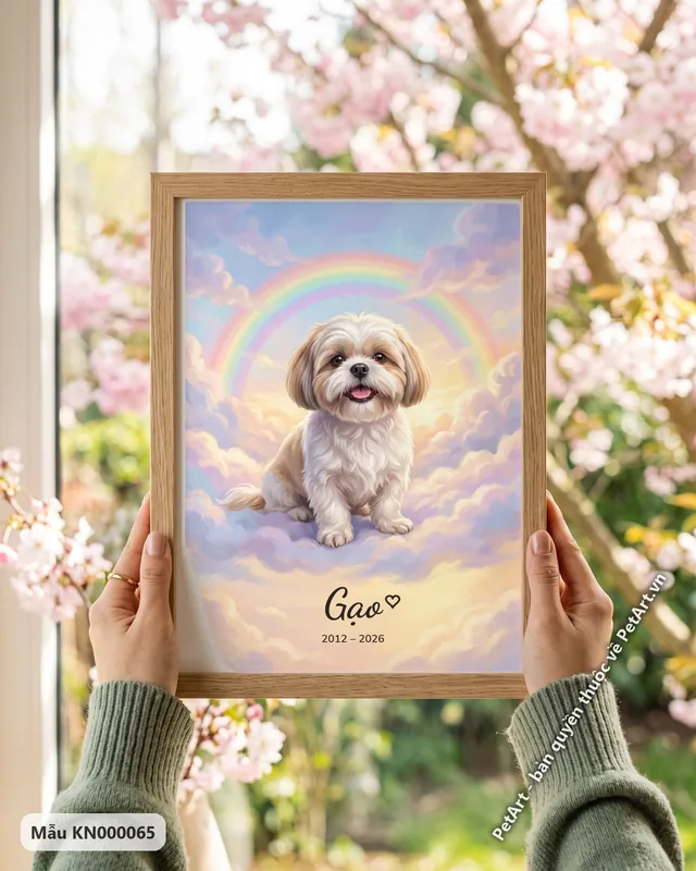 Chó Shih Tzu cầu vồng trên mây · góc khác