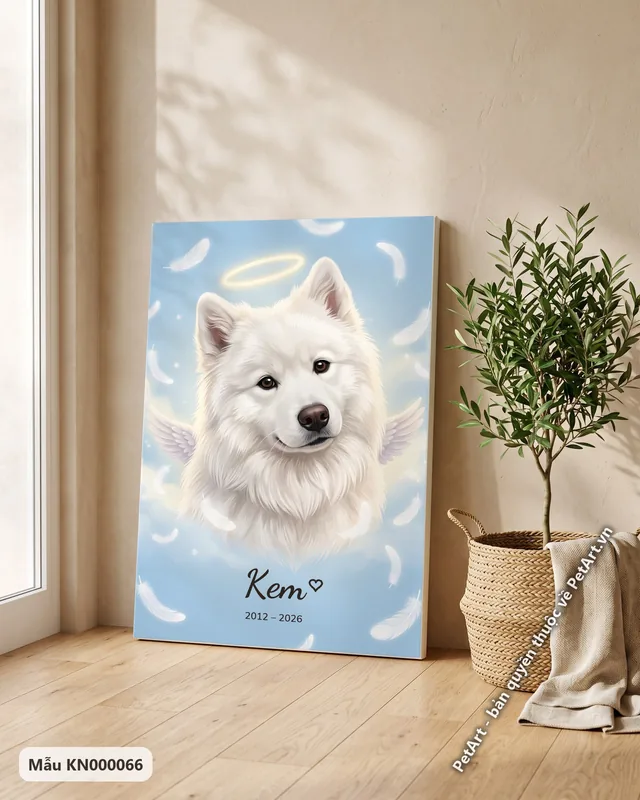 Chó Samoyed thiên thần, lông trắng · góc khác