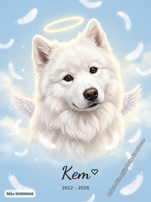 Chó Samoyed thiên thần, lông trắng · ảnh tranh