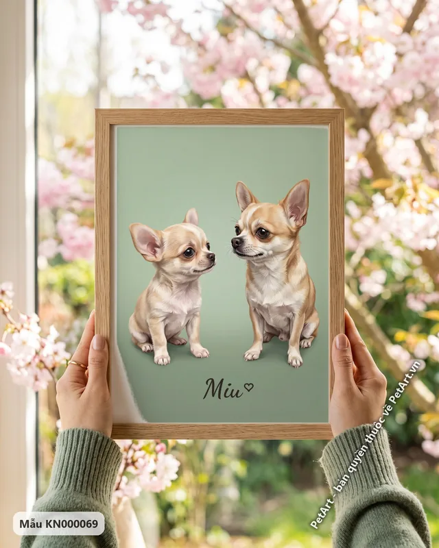 Hai chó Chihuahua lớn nhỏ, hành trình trưởng thành · góc khác