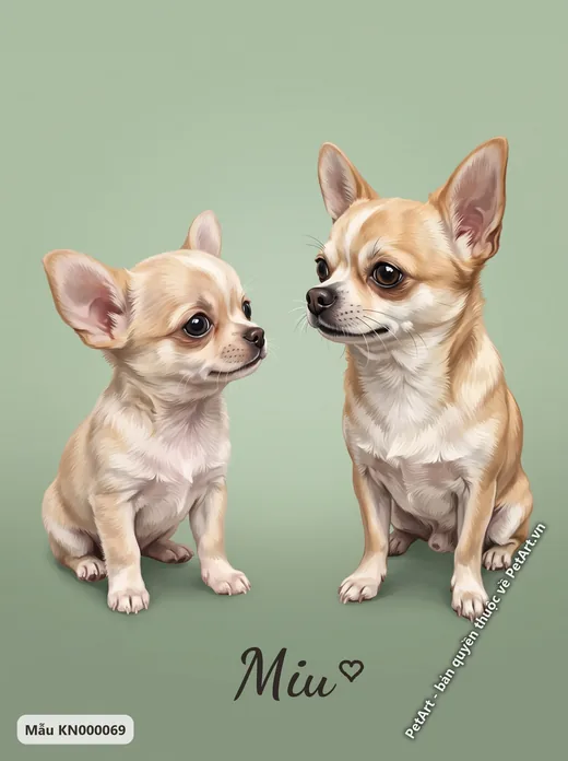 Hai chó Chihuahua lớn nhỏ, hành trình trưởng thành · ảnh tranh