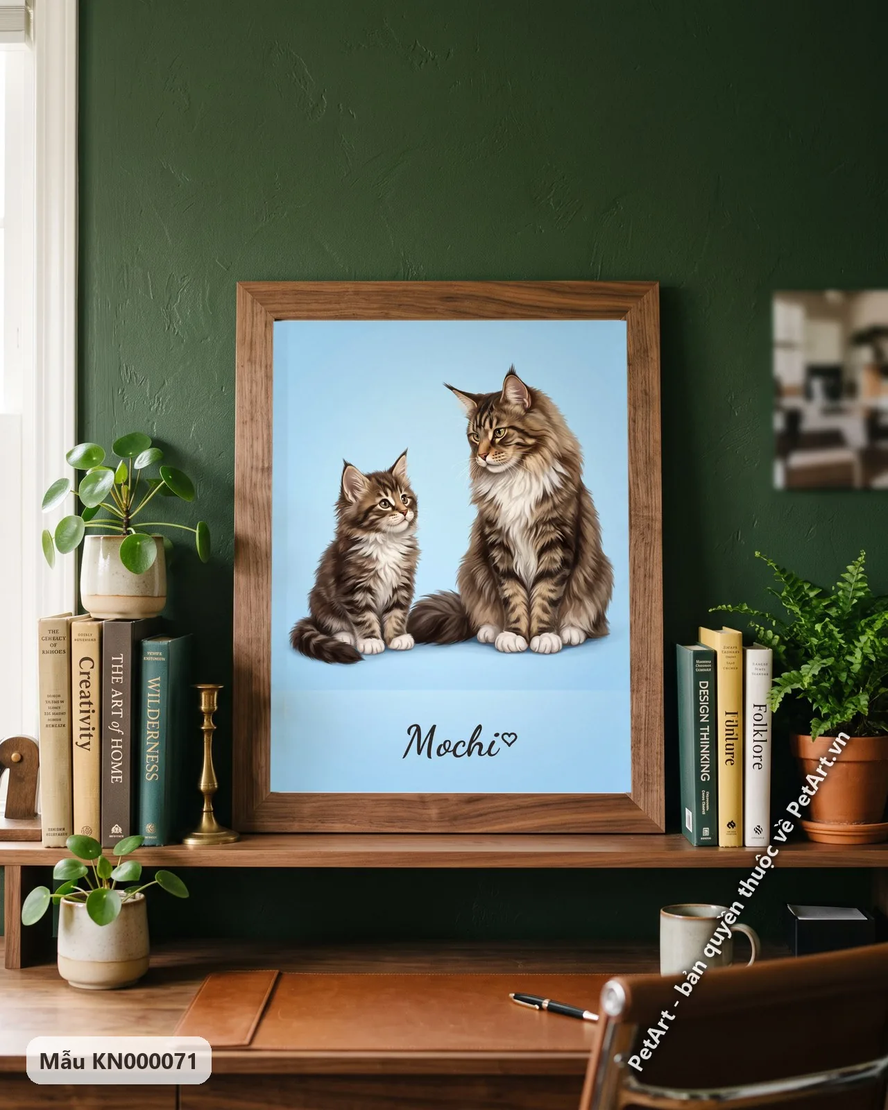 Ảnh thực tế: Hai chú mèo Maine Coon, một lớn một nhỏ, ngồi cạnh nhau trên nền xanh dương đơn sắc, thể hiện sự trưởng thành.