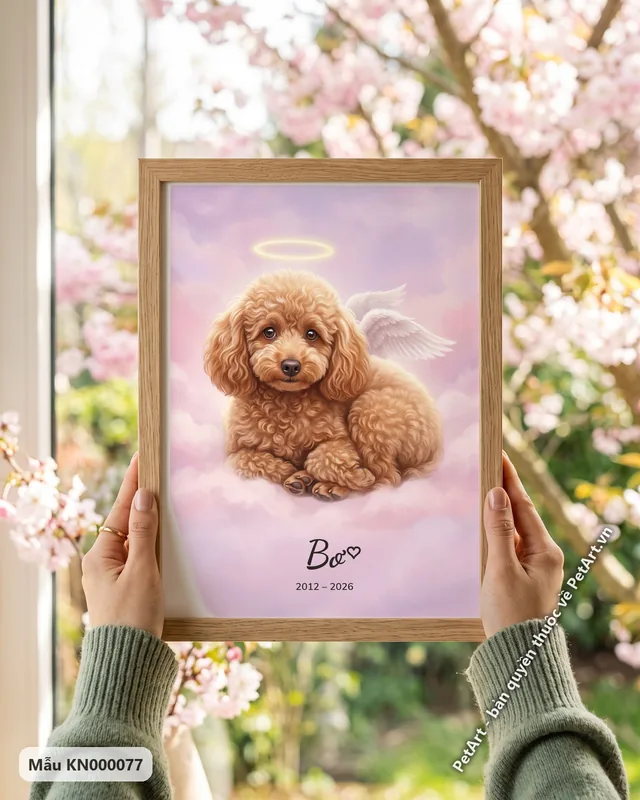 Poodle thiên thần, đôi cánh trắng trên mây · góc khác