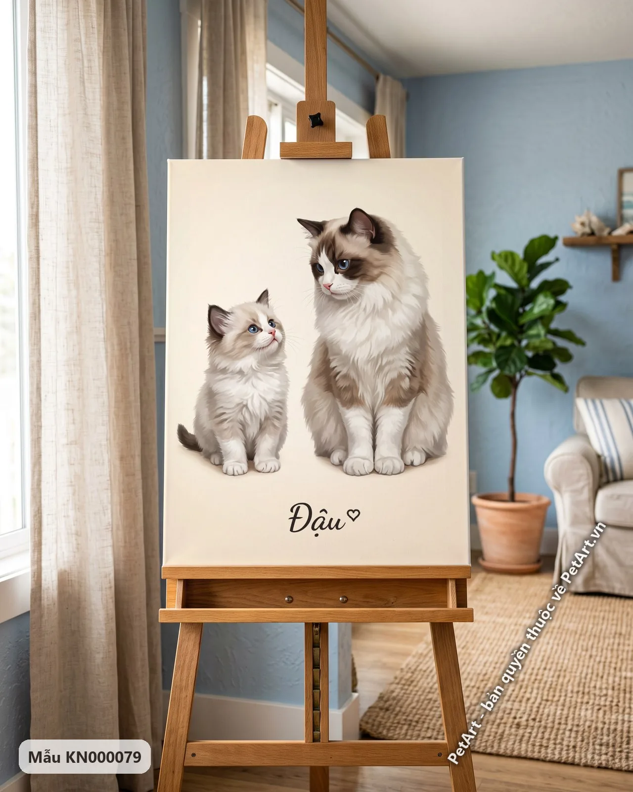Ảnh thực tế: Mèo Ragdoll trưởng thành và mèo con ngồi cạnh nhau, mắt xanh biếc, trên nền màu be trơn đơn giản.
