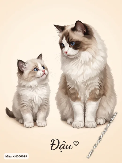 Mèo Ragdoll mẹ con, phong cách hành trình trưởng thành · ảnh tranh