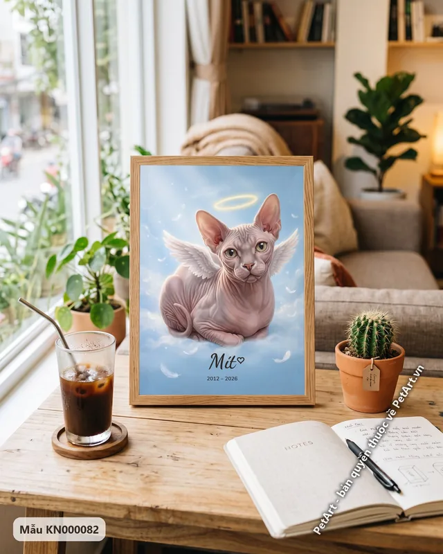 Mèo không lông thiên thần trên mây · góc khác