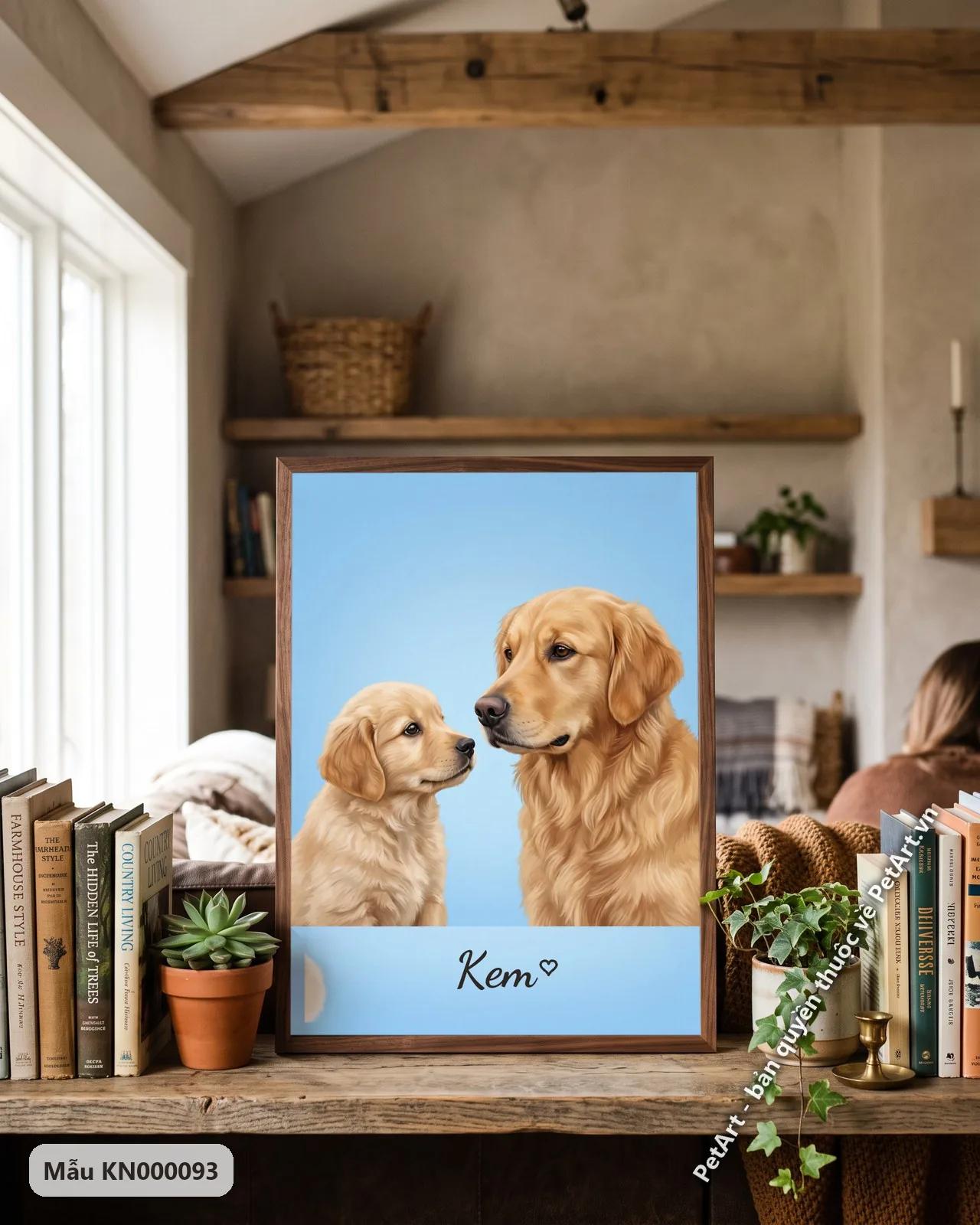 Ảnh thực tế: Một chú chó Golden con nhìn lên chú chó Golden trưởng thành, cả hai đều có bộ lông vàng óng, trên nền màu xanh dương.
