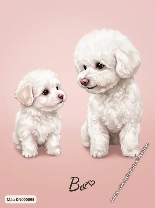 Chó Bichon con và lớn, hành trình trưởng thành · ảnh tranh