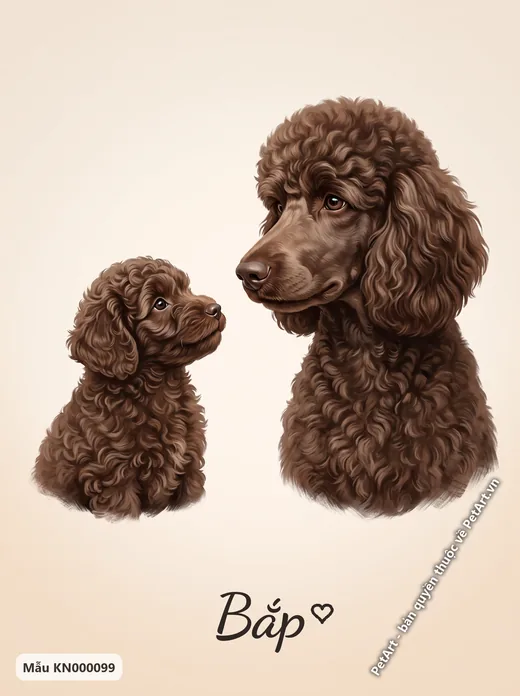 Chó Poodle nâu con và trưởng thành · ảnh tranh