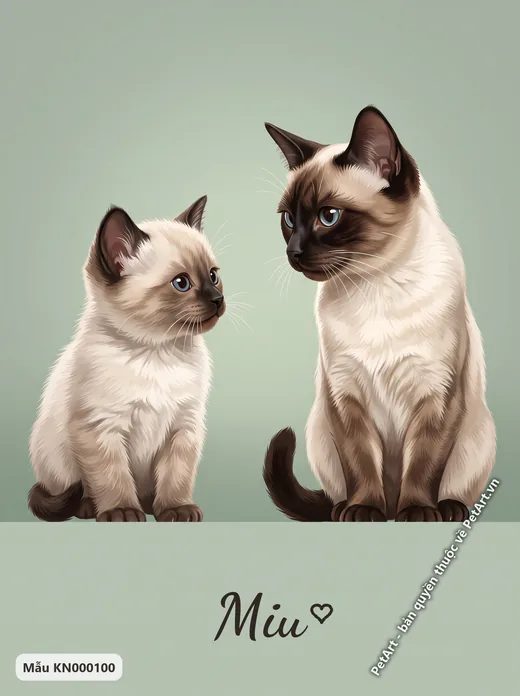 Mèo Xiêm con và trưởng thành · ảnh tranh